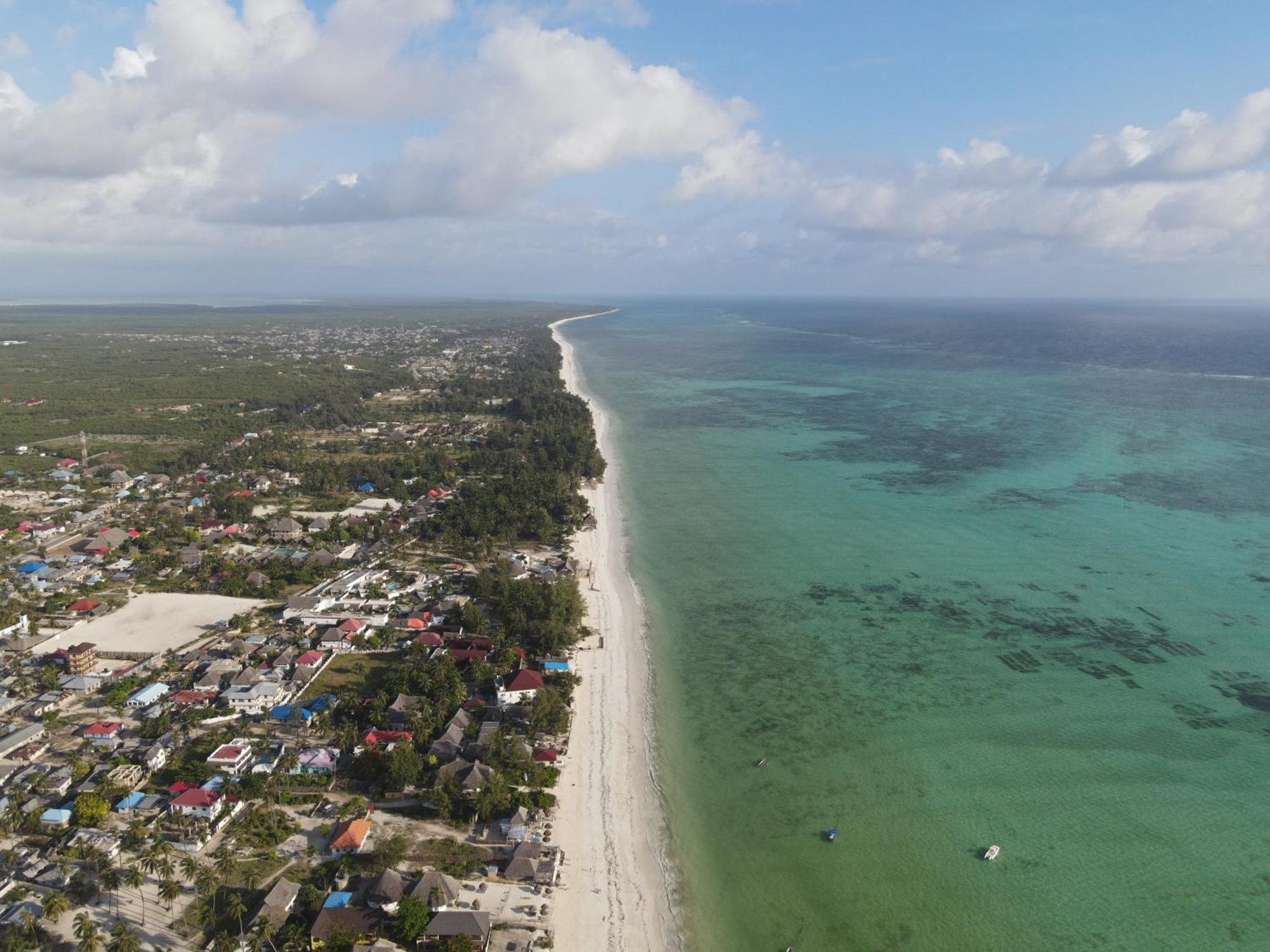 Blooming Zanzibar Hotel จัมเบียนี ภายนอก รูปภาพ