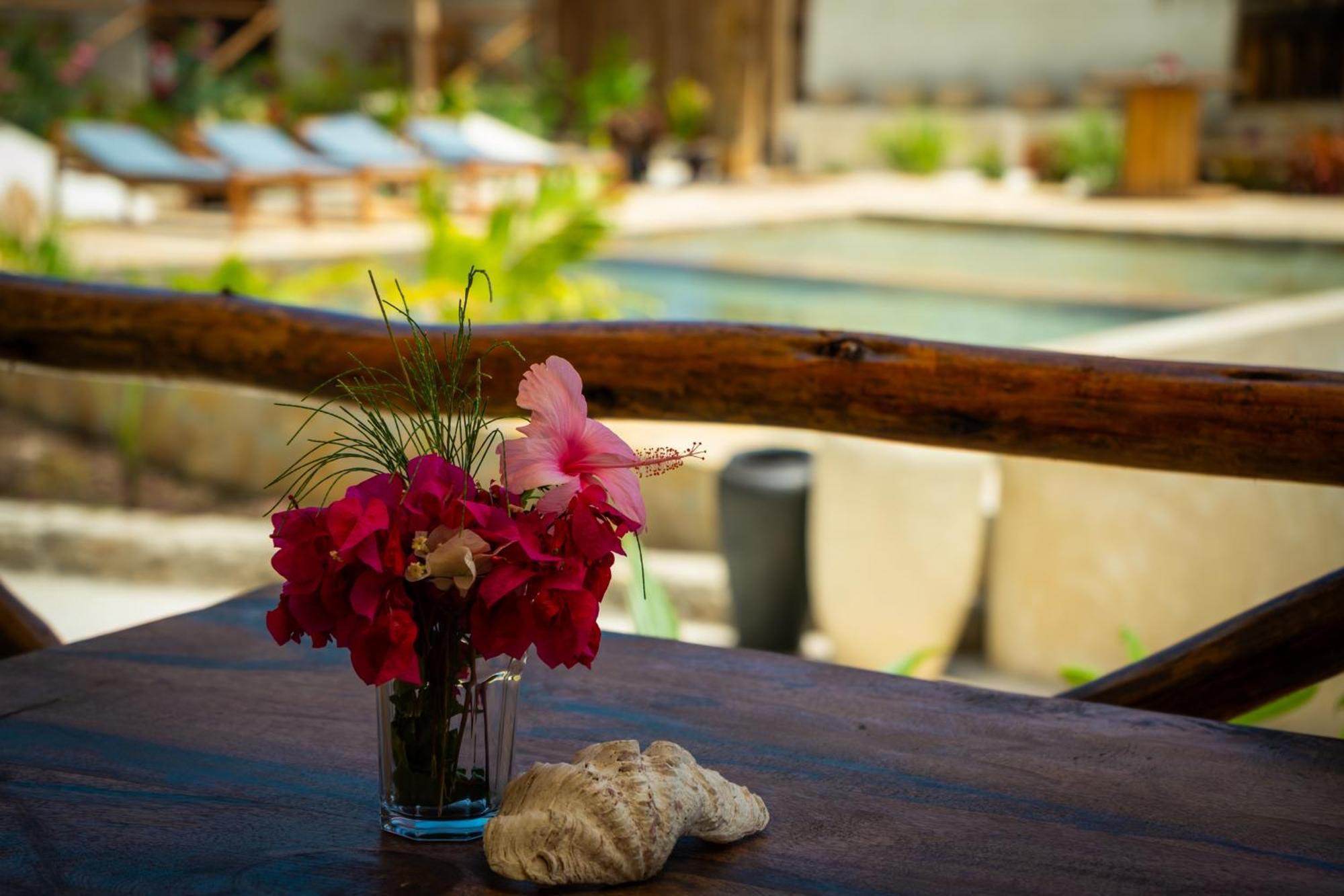 Blooming Zanzibar Hotel จัมเบียนี ภายนอก รูปภาพ